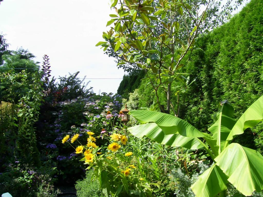 Garden House Hotel Courtenay Exterior foto